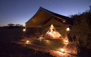 renuka travel agency